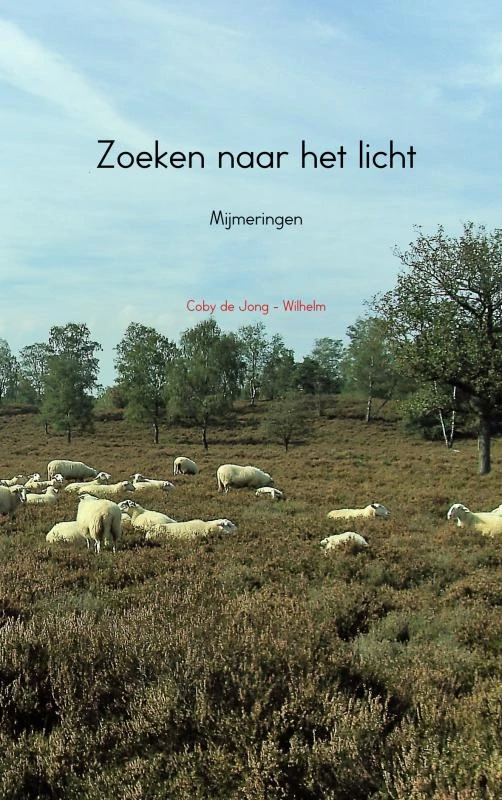 Zoeken naar het licht – Coby De Jong-Wilhelm – boek cover