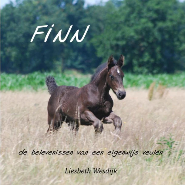 Finn – Liesbeth Wesdijk – boek cover