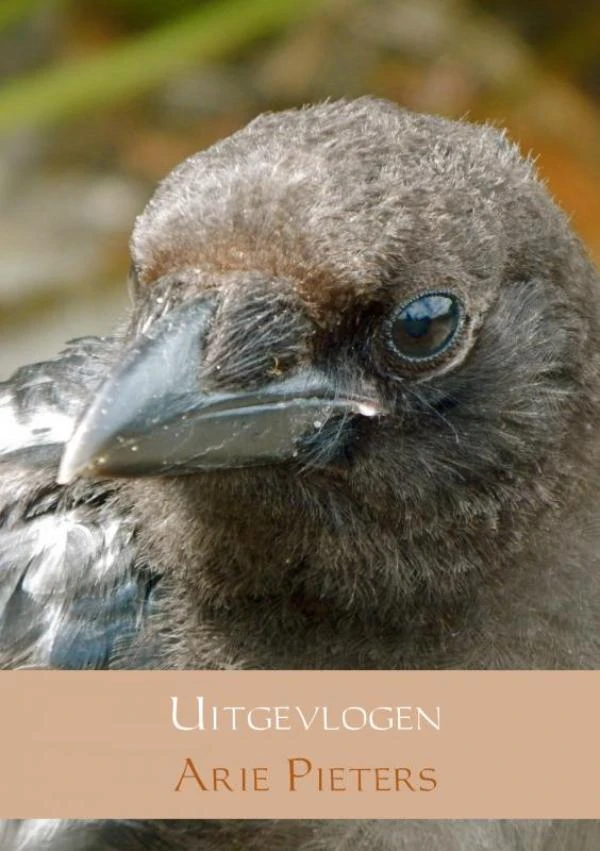 Uitgevlogen – Arie Pieters – boek cover