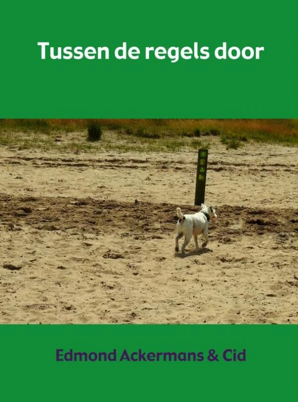 Tussen de regels door – Edmond Ackermans & Cid – boek cover