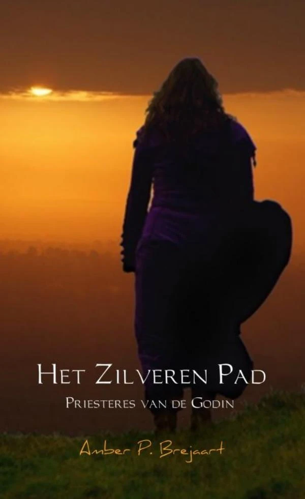 Het zilveren pad – Amber P. Brejaart – boek cover