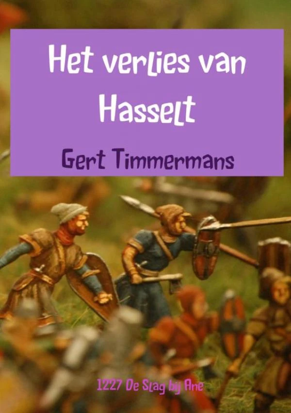 Het verlies van Hasselt – Gert Timmermans – boek cover