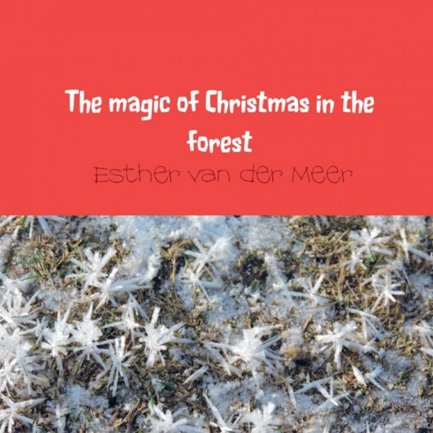 The magic of Christmas in the forest – Esther van der Meer - van der Meer – boek cover