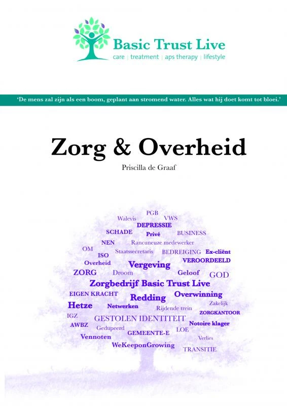 Zorg en Overheid – Priscilla de Graaf – boek cover