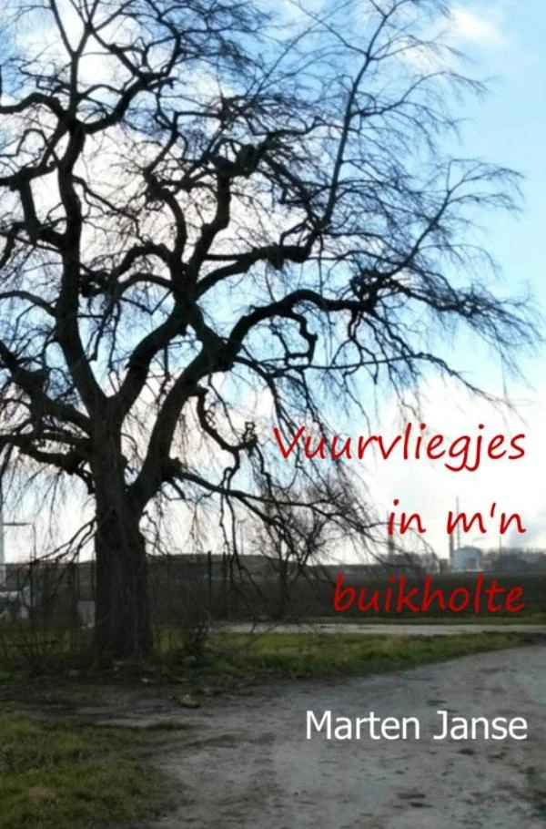 Vuurvliegjes in m'n buikholte – Marten Janse – boek cover