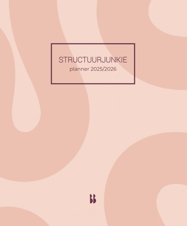 Structuurjunkie-planner 2025/2026 – Cynthia Schultz – boek cover