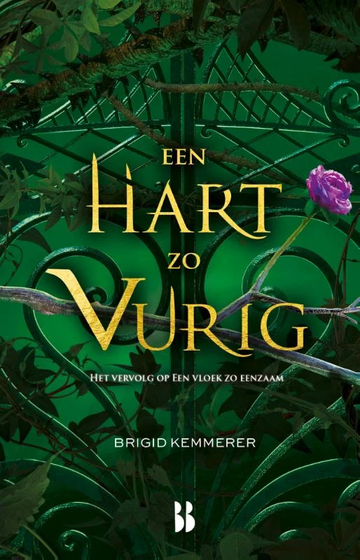 Een hart zo vurig – Brigid Kemmerer – boek cover