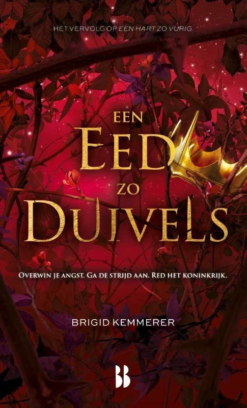 Een eed zo duivels – Brigid Kemmerer – boek cover