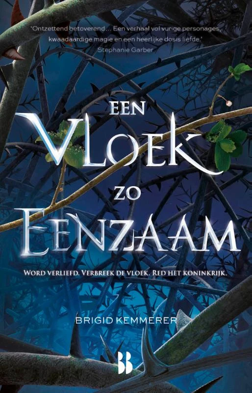 Een vloek zo eenzaam – Brigid Kemmerer – boek cover