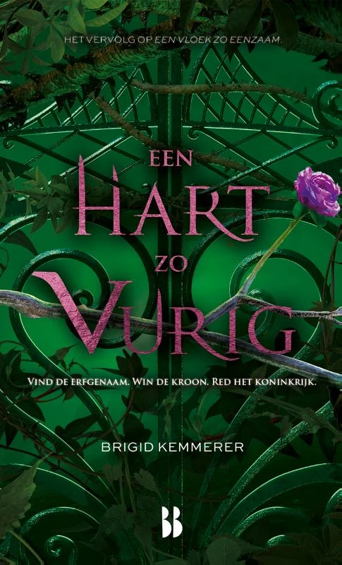Een hart zo vurig – Brigid Kemmerer – boek cover