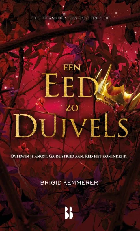 Een eed zo duivels – Brigid Kemmerer – boek cover