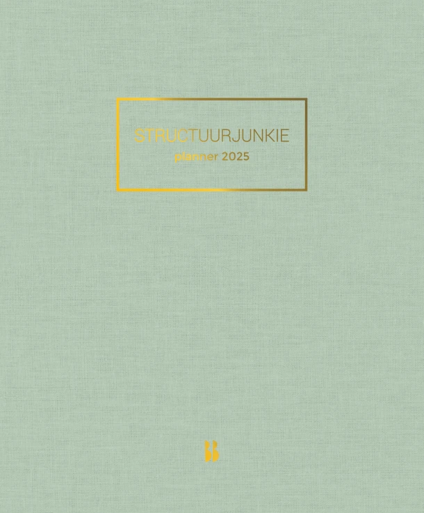 Structuurjunkie planner 2025 – Cynthia Schultz – boek cover