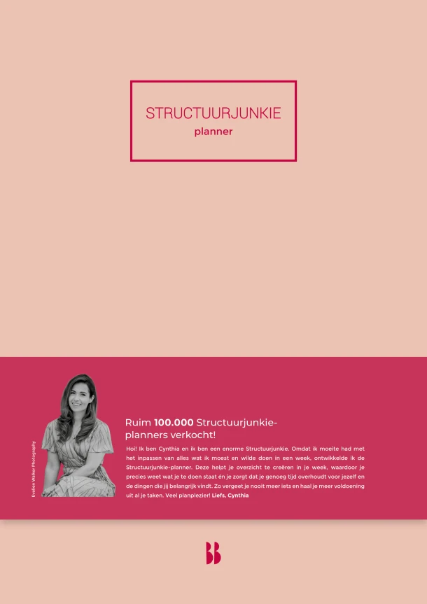 Structuurjunkie-planner – Cynthia Schultz – boek cover