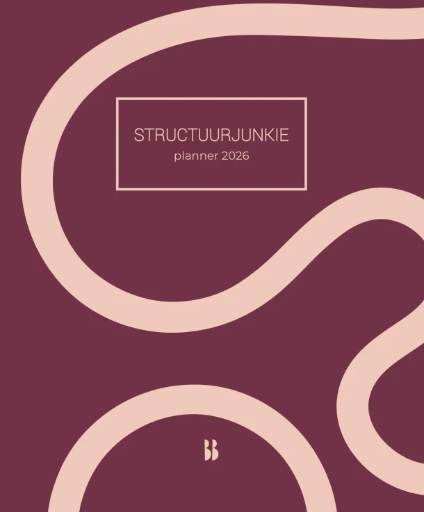 Structuurjunkie-planner | 2026 – Cynthia Schultz – boek cover