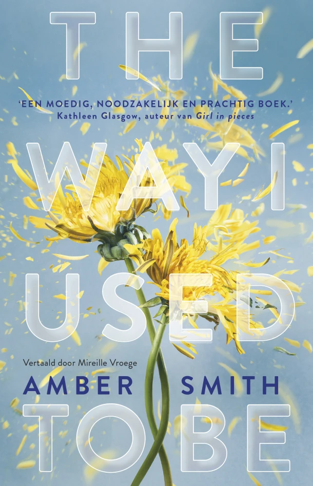 The way I used to be – Amber Smith – boek cover