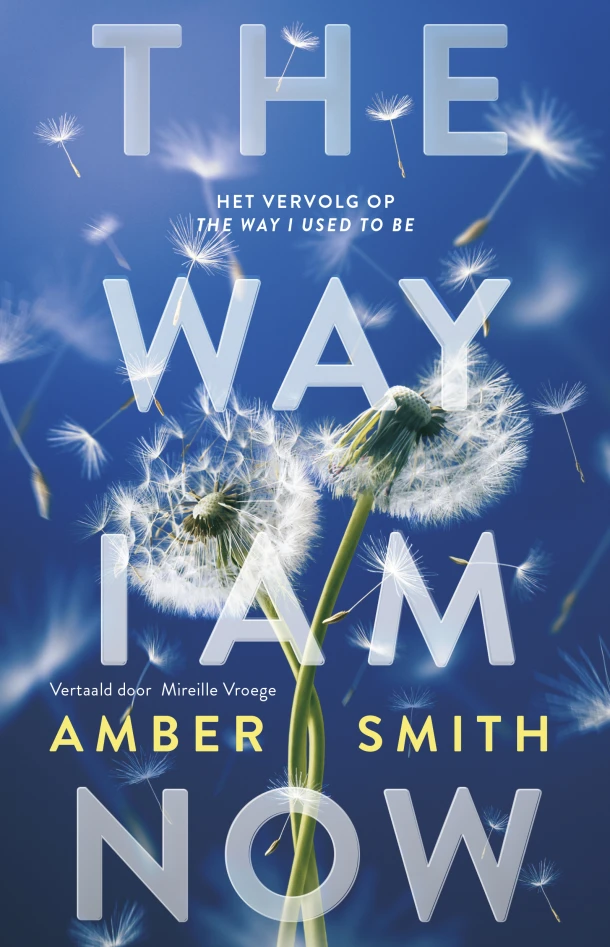 The way I am now – Amber Smith – boek cover