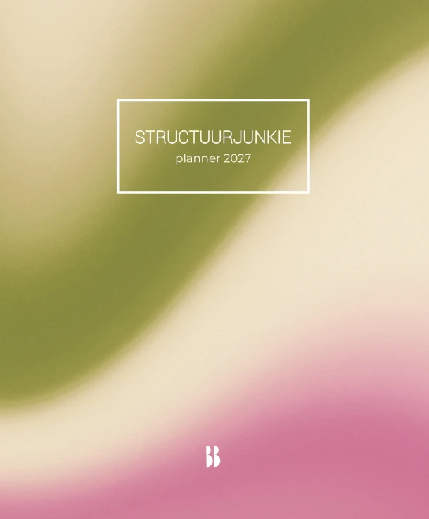 Structuurjunkie-planner | 2027 – Cynthia Schultz – boek cover