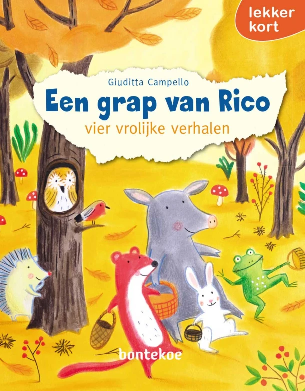Een grap van Rico – Giuditta Campello – boek cover