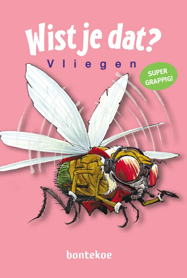 Vliegen – Alain Bergeron – boek cover