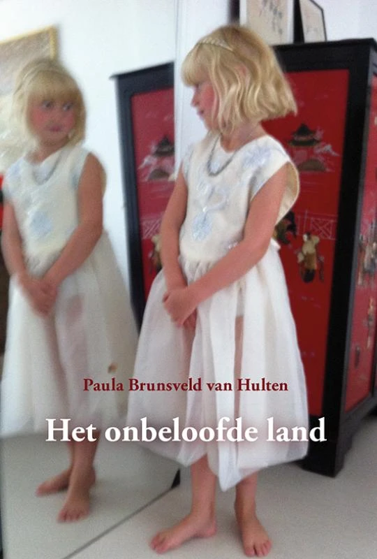 Het onbeloofde land – Paula Brunsveld van Hulten – boek cover