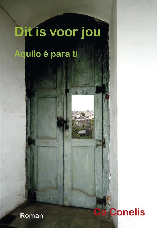 Dit is voor jou – Co Conelis – boek cover