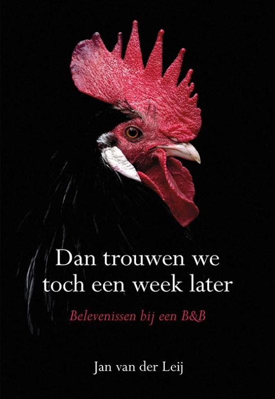 Dan trouwen we toch een week later – Jan van der Leij – boek cover