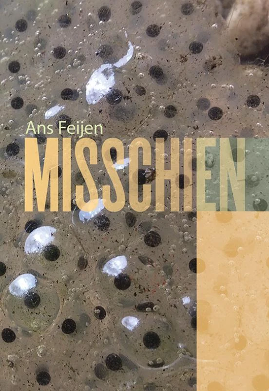 Misschien – Ans Feijen – boek cover
