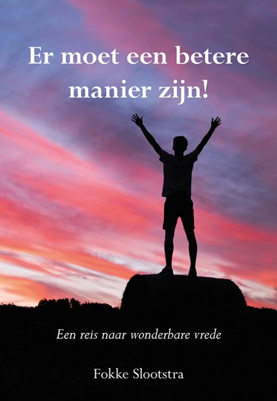 Er moet een betere manier zijn – Fokke Slootstra – boek cover