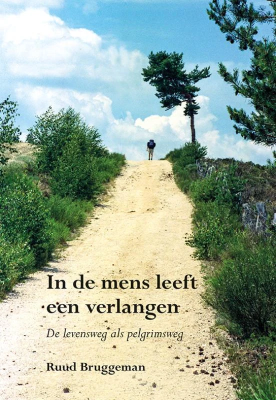 In de mens leeft een verlangen – Ruud Bruggeman – boek cover