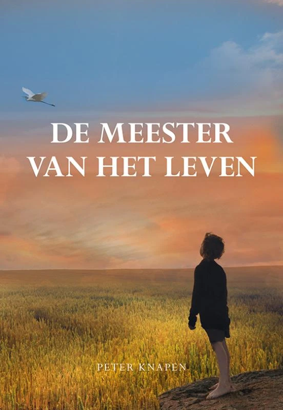 De meester van het leven – Peter Knapen – boek cover