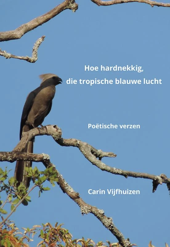 Hoe hardnekkig, die tropische blauwe lucht – Carin Vijfhuizen – boek cover