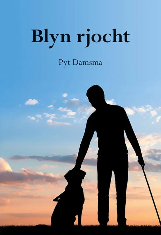 Blyn rjocht – Pyt Damsma – boek cover
