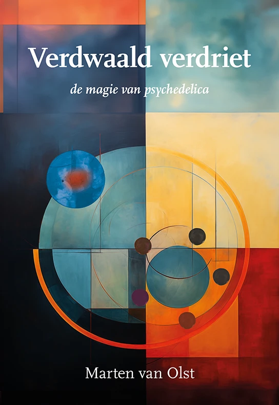 Verdwaald verdriet – Marten van Olst – boek cover
