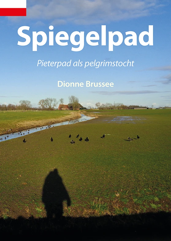 Spiegelpad – Dionne Brussee – boek cover