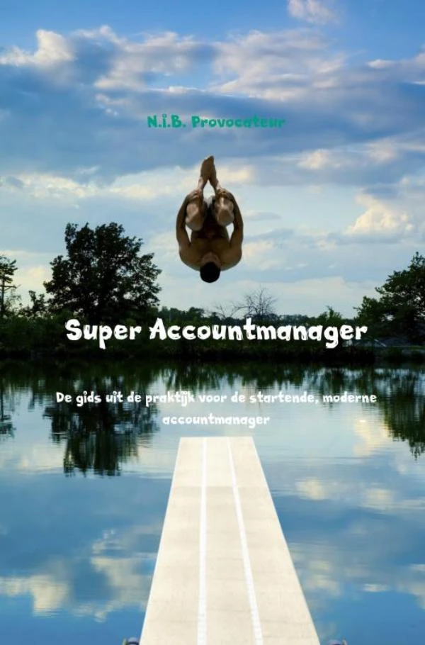 Super Accountmanager – N.I.B. Provocateur – boek cover