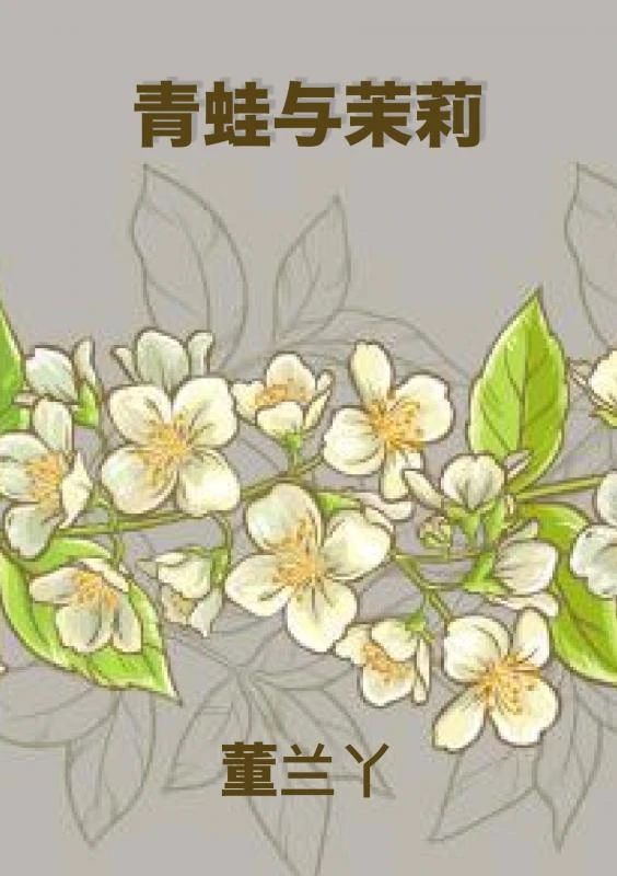 ¿¿¿¿¿ – ? ?? – boek cover