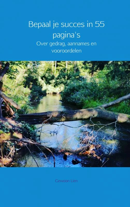 Bepaal je succes in 55 pagina's – Gewoon Lien – boek cover