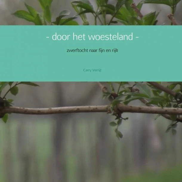- door het woesteland - – Carry Verrijt – boek cover