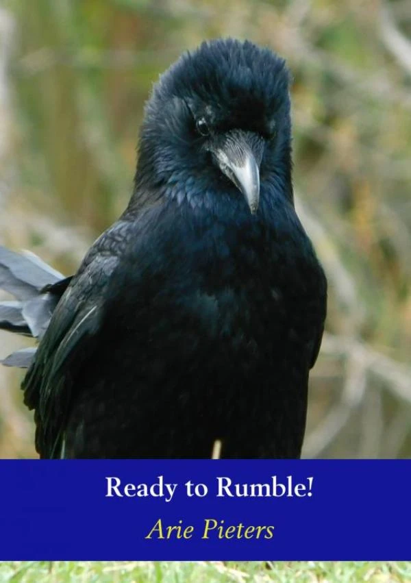 Ready to Rumble! – Arie Pieters – boek cover