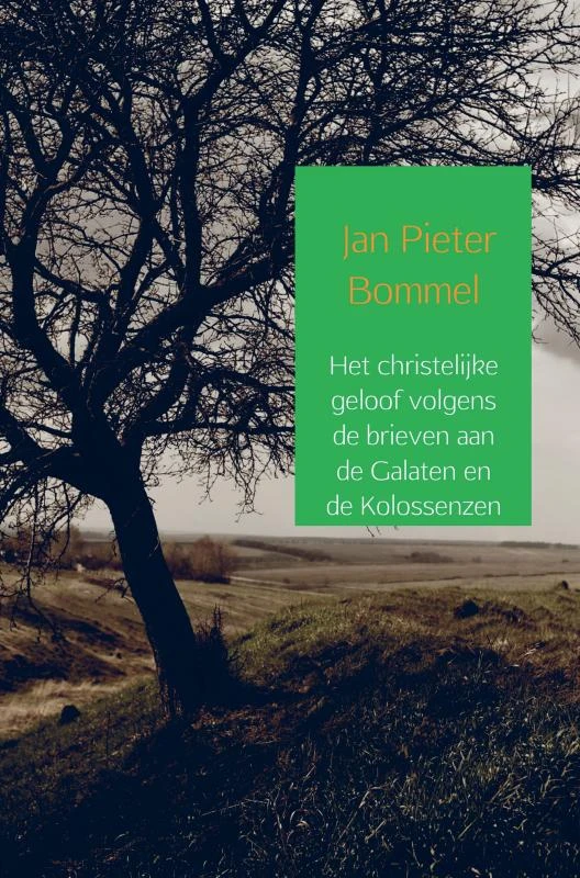 Het christelijke geloof volgens de brieven aan de Galaten en de Kolossenzen ā Jan Pieter Bommel ā boek cover