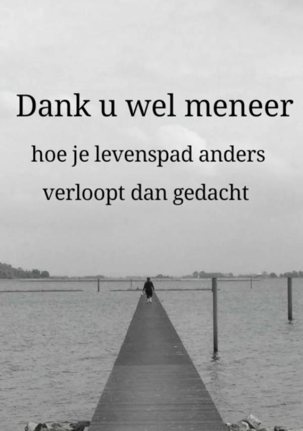 Dank u wel meneer – marian ellen – boek cover