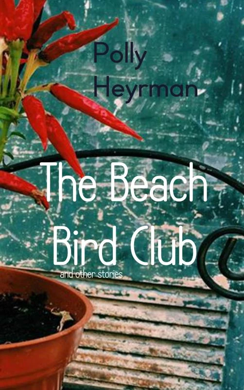 The Beach Bird Club – Polly Heyrman – boek cover