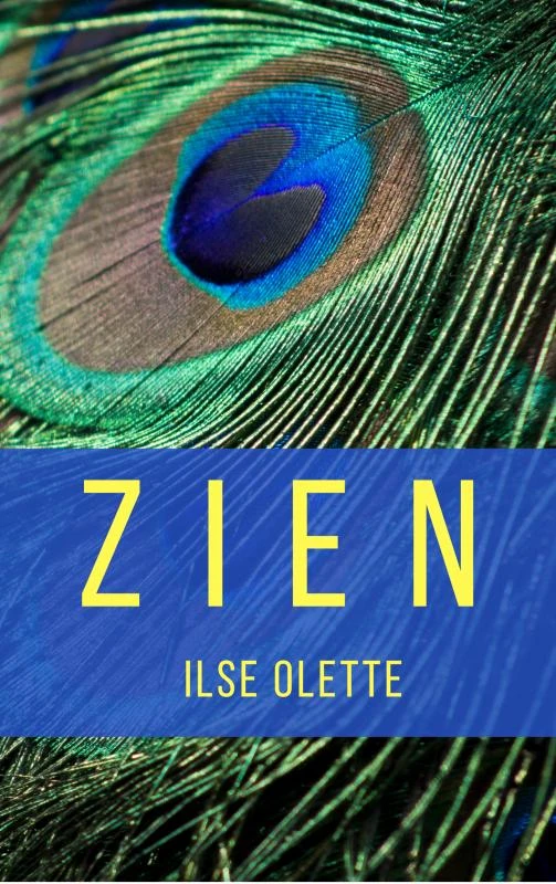 ZIEN – Ilse Olette – boek cover
