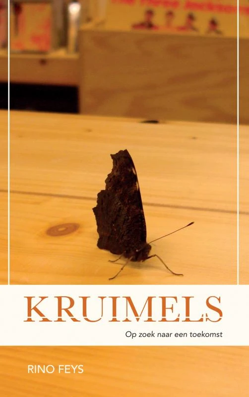 Kruimels – Rino Feys – boek cover