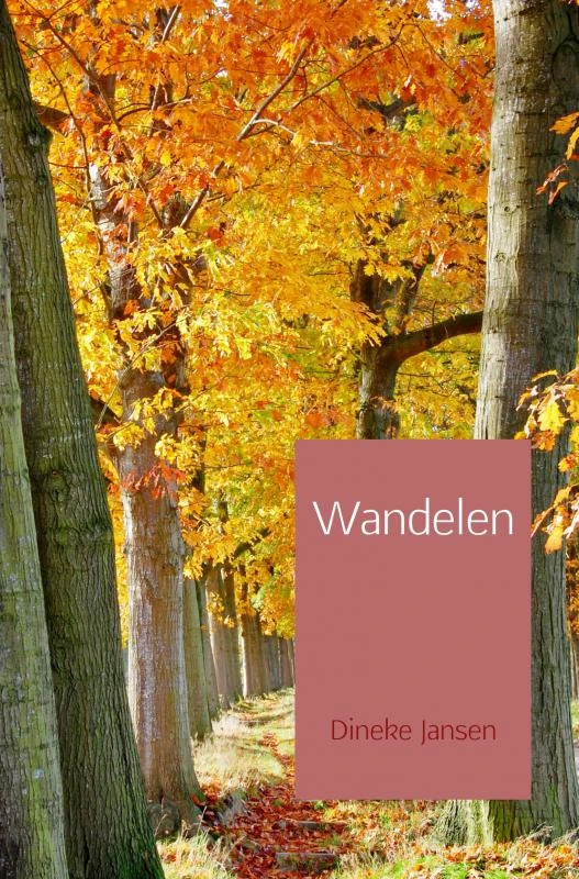 Wandelen – Dineke Jansen – boek cover