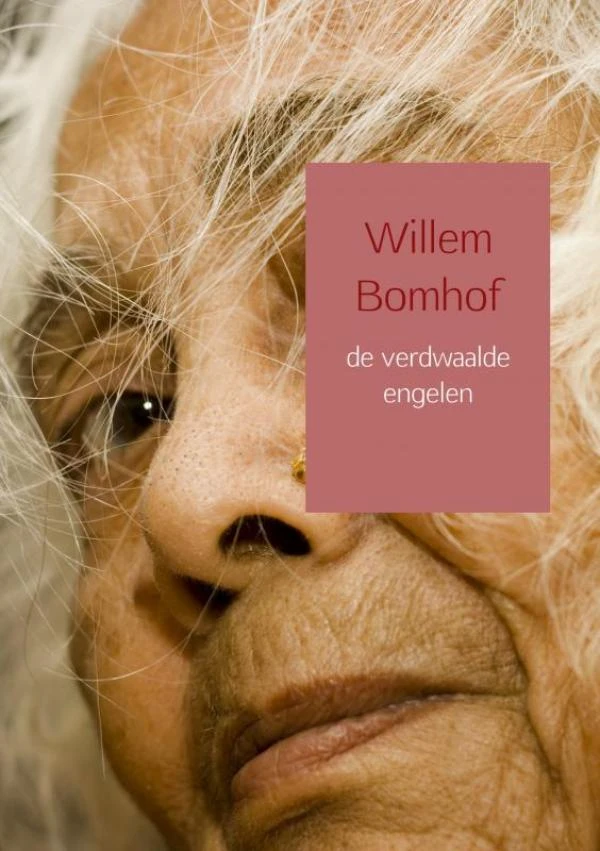 de verdwaalde engelen – Willem Bomhof – boek cover