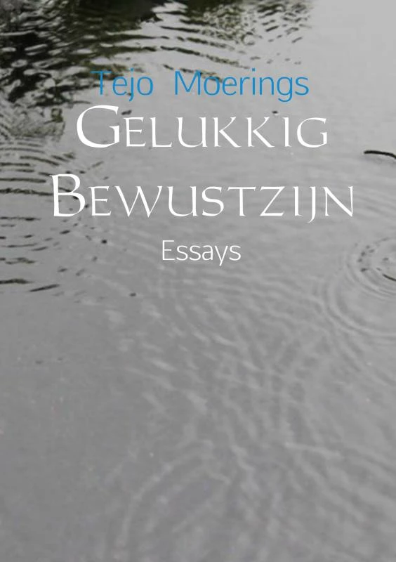 Gelukkig bewustzijn – Tejo Moerings – boek cover