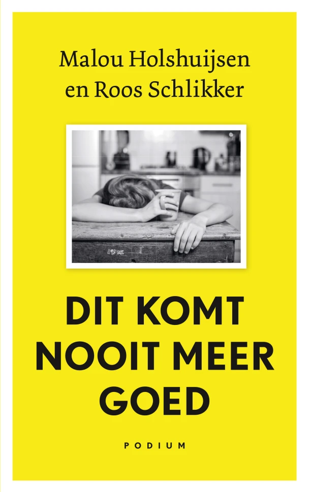 Dit komt nooit meer goed – Malou Holshuijsen – boek cover