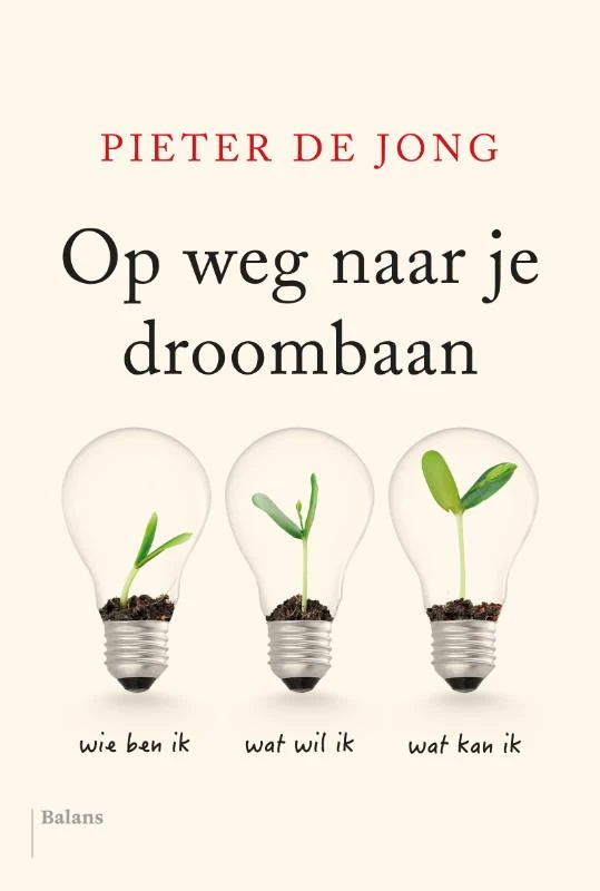 Op weg naar je droombaan – Pieter de Jong – boek cover