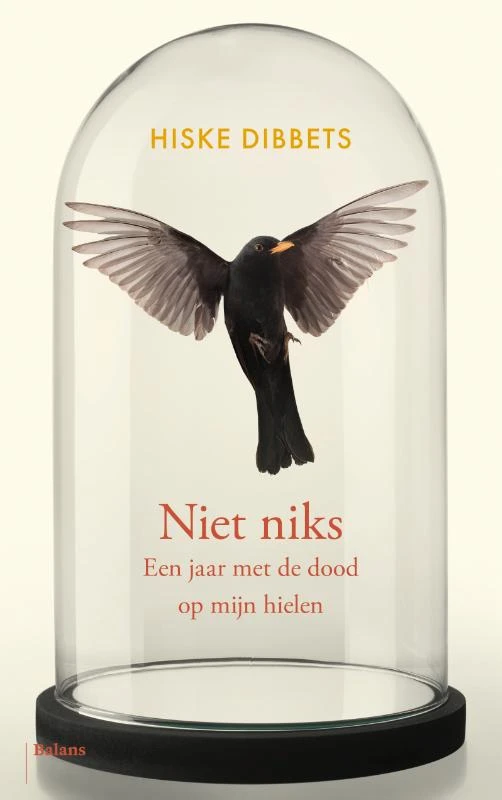 Niet niks – Hiske Dibbets – boek cover